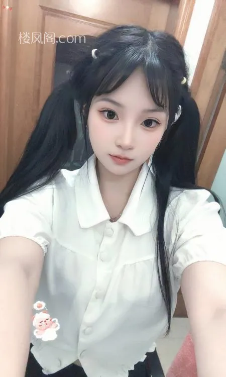 全国免费楼凤资源