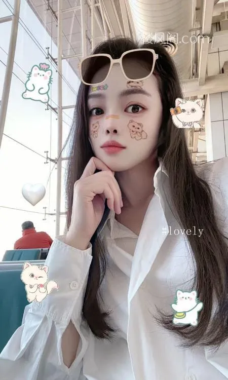 全国免费楼凤资源