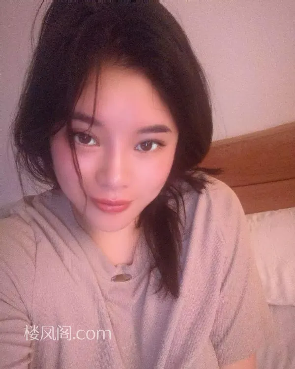 全国免费楼凤资源