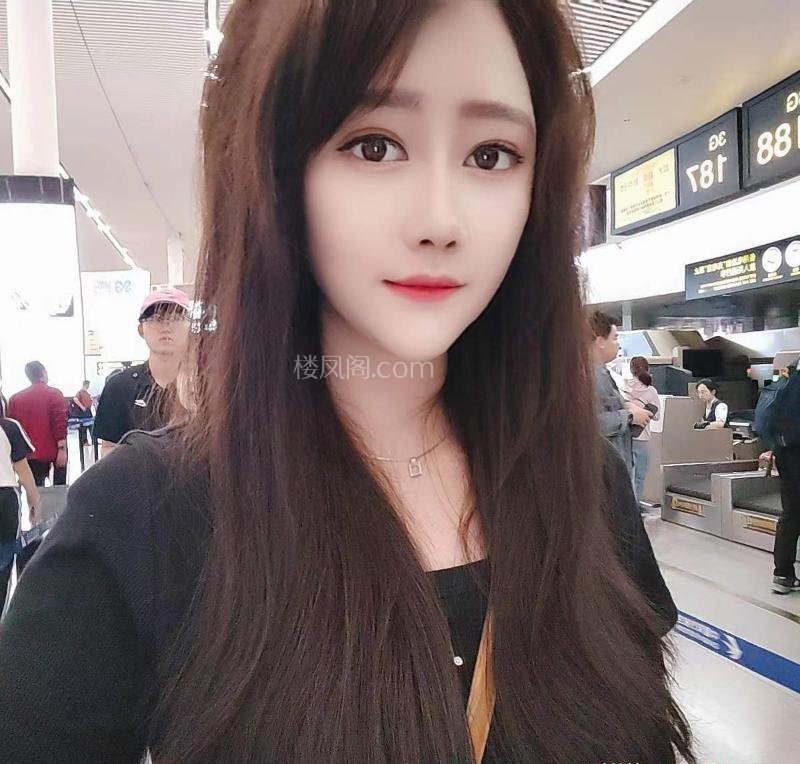 全国免费楼凤资源