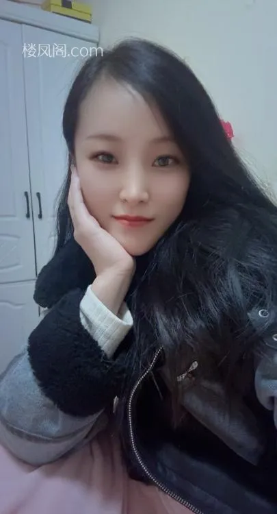 全国免费楼凤资源