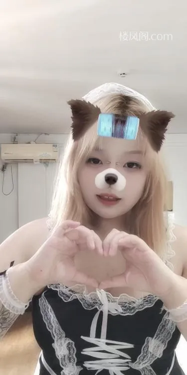 全国免费楼凤资源