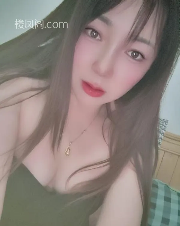 全国免费楼凤资源