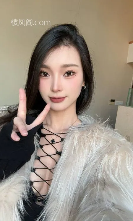 全国免费楼凤资源