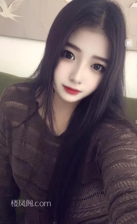 全国免费楼凤资源