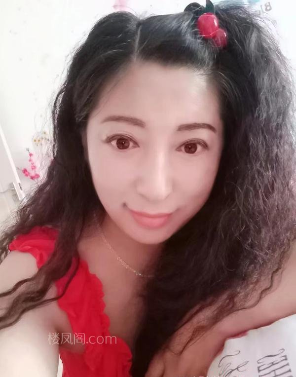 全国免费楼凤资源