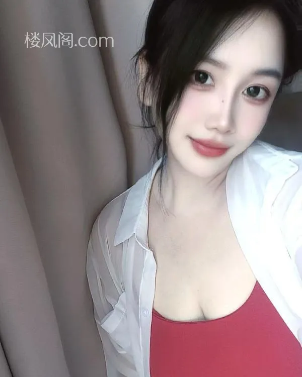 全国免费楼凤资源