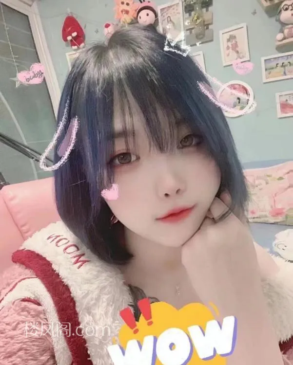 全国免费楼凤资源