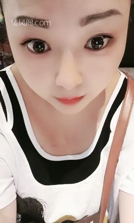 全国免费楼凤资源