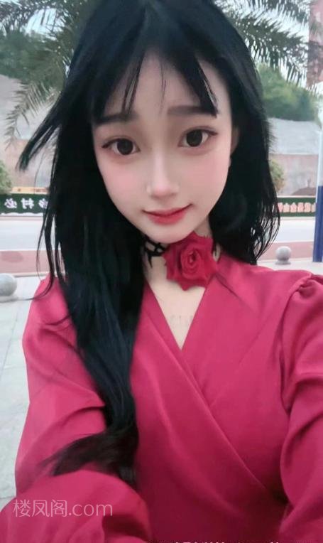 免费楼凤资源