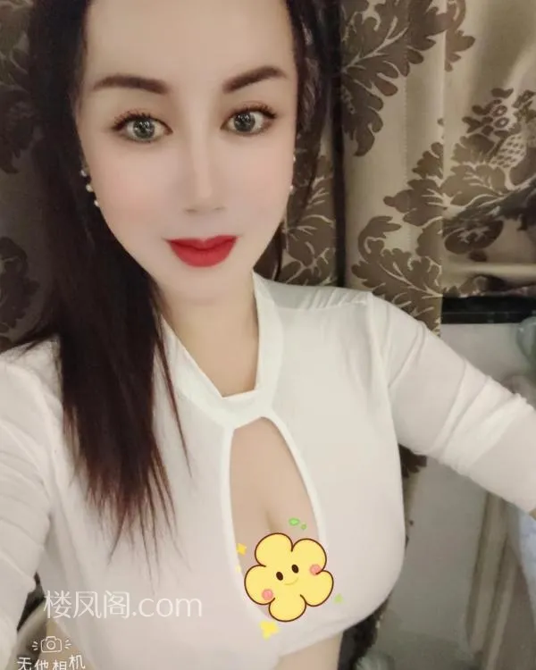 全国免费楼凤资源