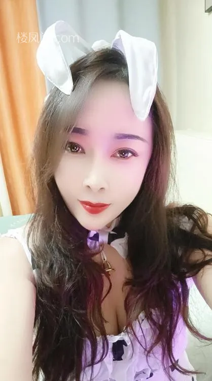 全国免费楼凤资源