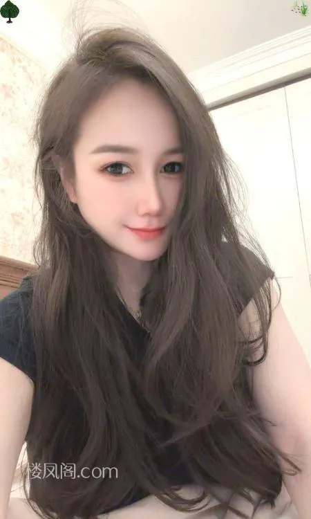 全国免费楼凤资源