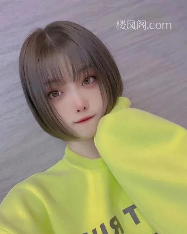 全国免费楼凤资源