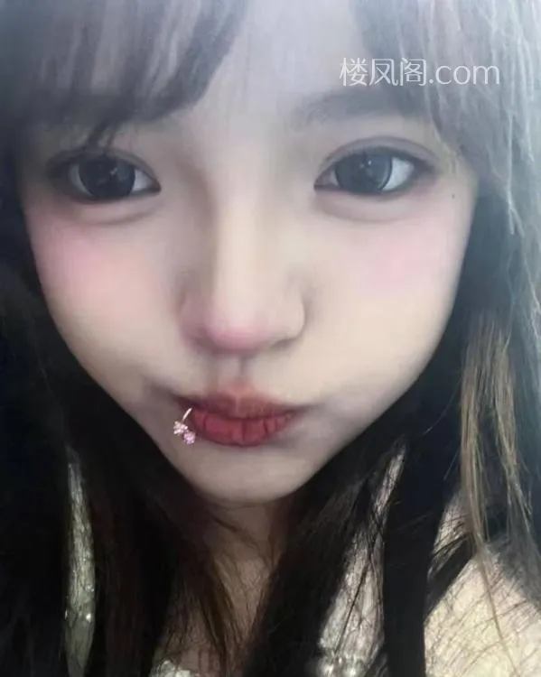 全国免费楼凤资源