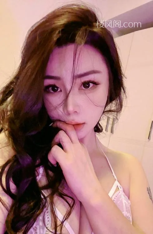 全国免费楼凤资源