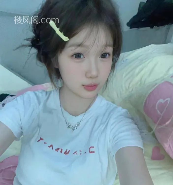 全国免费楼凤资源