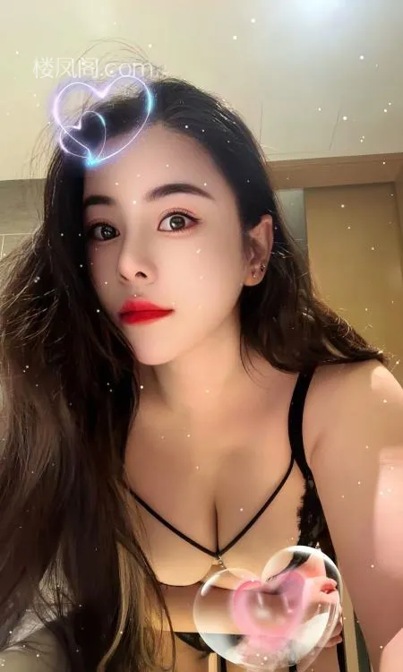 全国免费楼凤资源