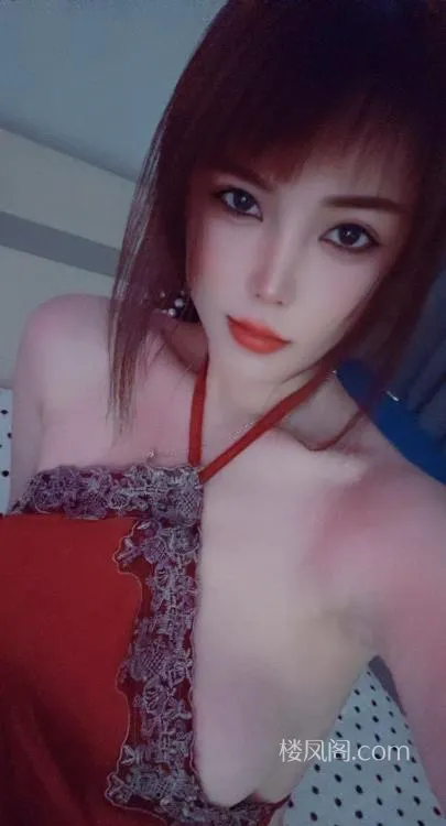 全国免费楼凤资源