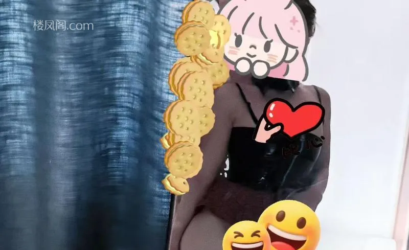 全国免费楼凤资源