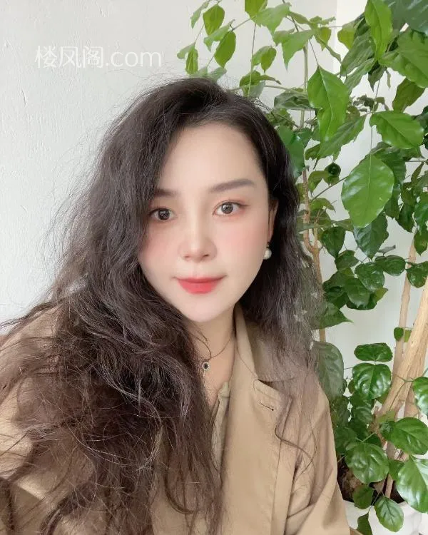 全国免费楼凤资源