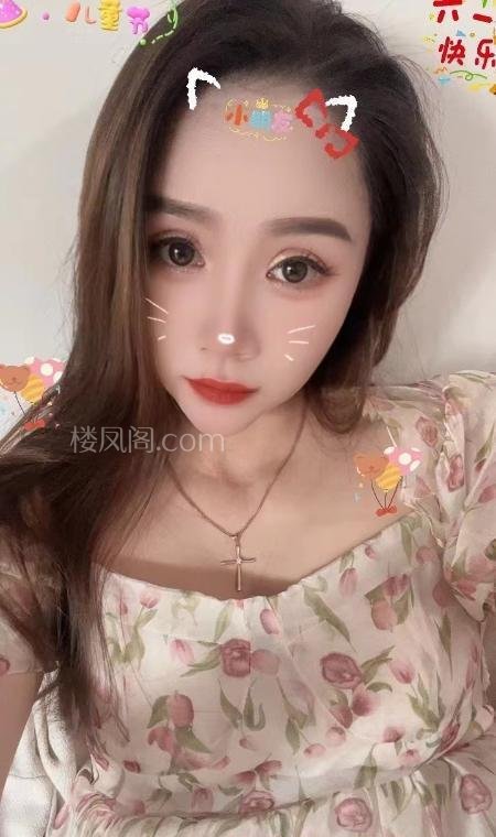 全国免费楼凤资源