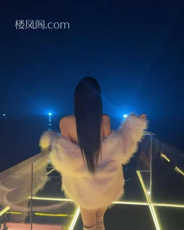 全国免费楼凤资源