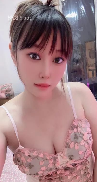 全国免费楼凤资源