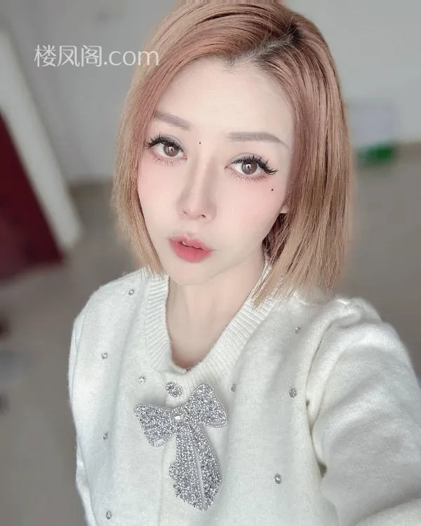 全国免费楼凤资源