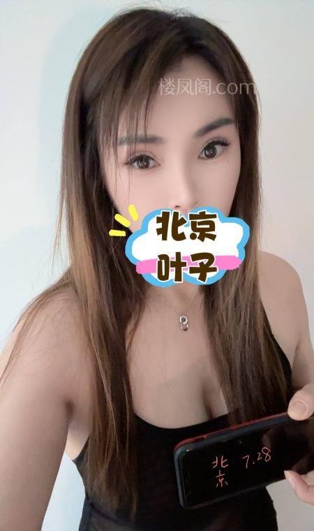 全国免费楼凤资源