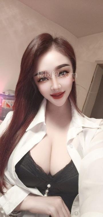 全国免费楼凤资源