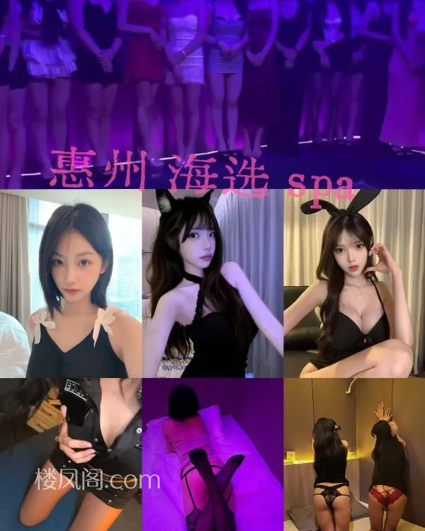 全国免费楼凤资源