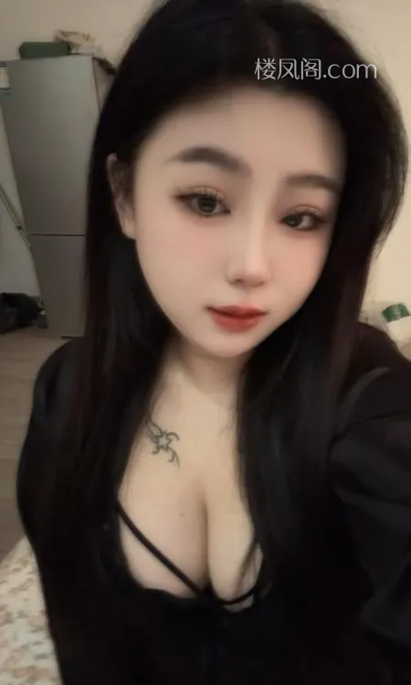 全国免费楼凤资源