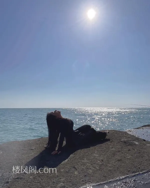 全国免费楼凤资源