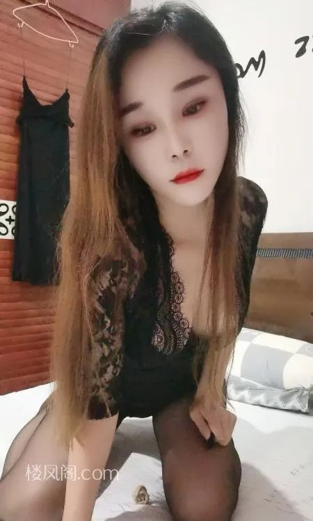 全国免费楼凤资源