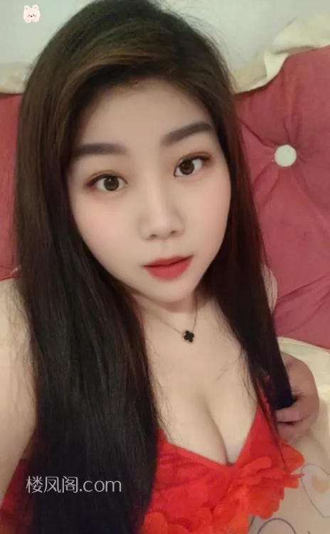 全国免费楼凤资源