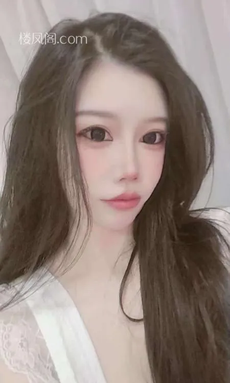 全国免费楼凤资源