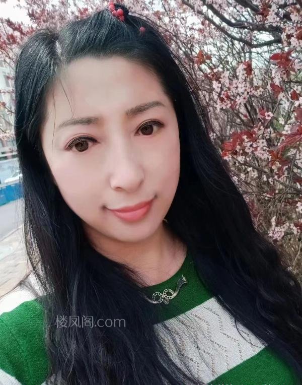 全国免费楼凤资源